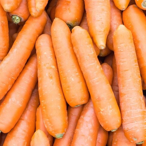 The Health Benefits of Carrots: A Nutritional Powerhouse