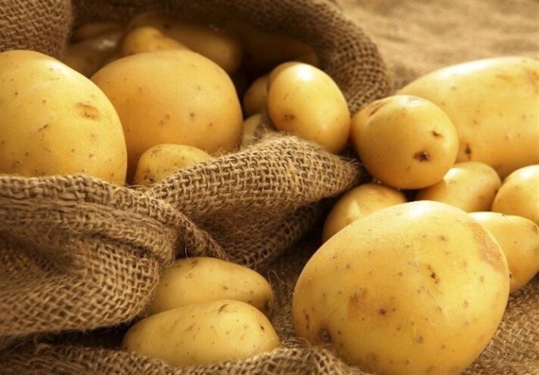 wholsale import of potato